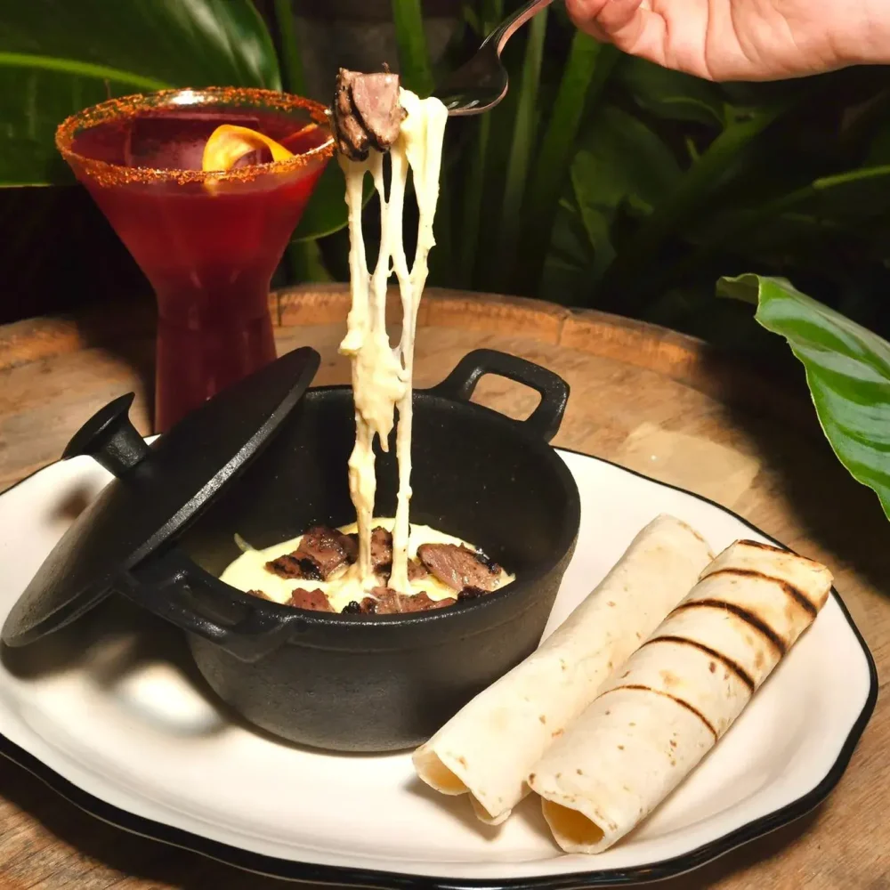 Botanico Kitchen and Bar (1)